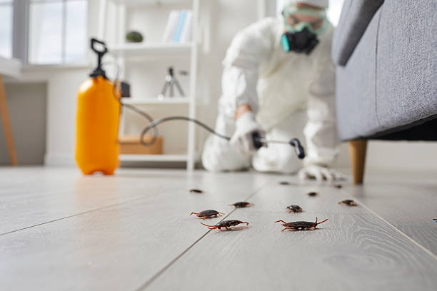 Commercial Kitchen Cockroach Control in Tonopah